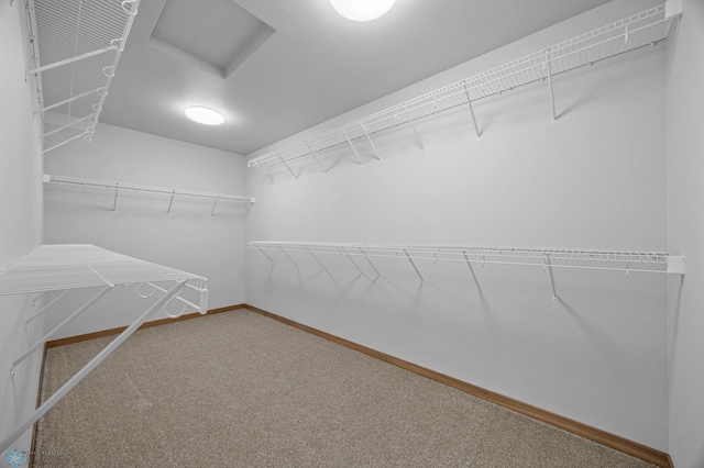 walk in closet with carpet and attic access