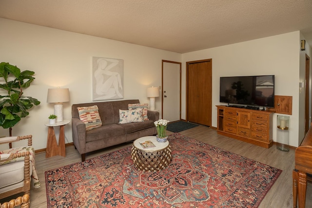 living room with baseboards, a textured ceiling, and wood finished floors