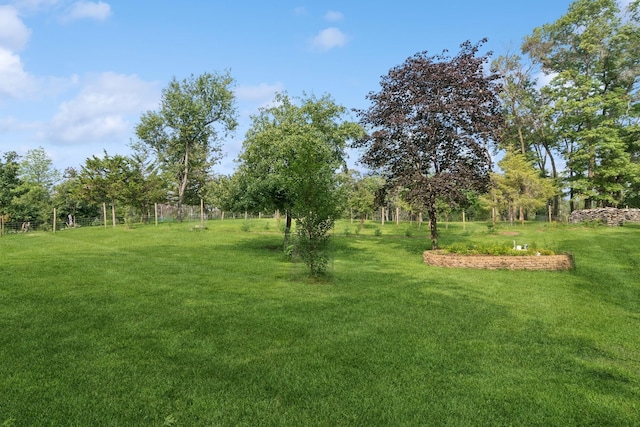 view of green lawn