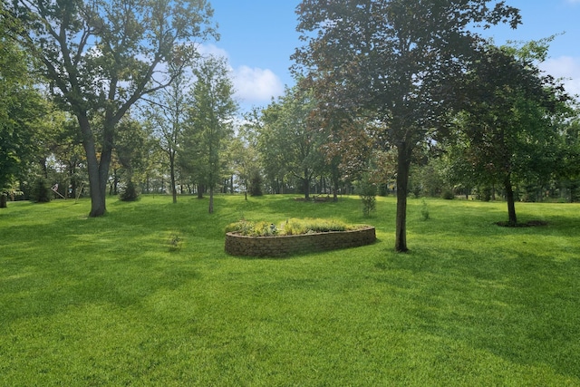 view of green lawn