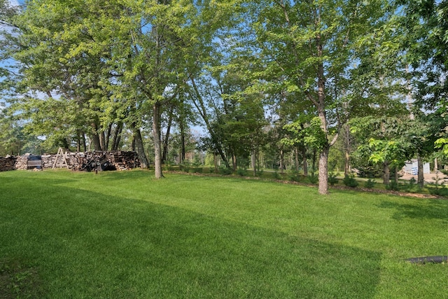 view of grassy yard