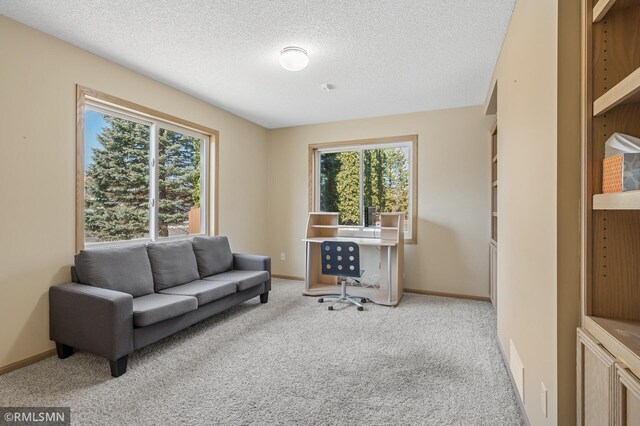 office space featuring plenty of natural light, light colored carpet, baseboards, and a textured ceiling