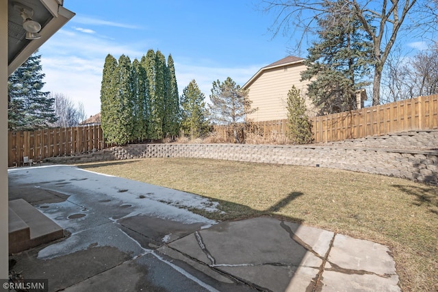 view of yard with a fenced backyard and a patio area