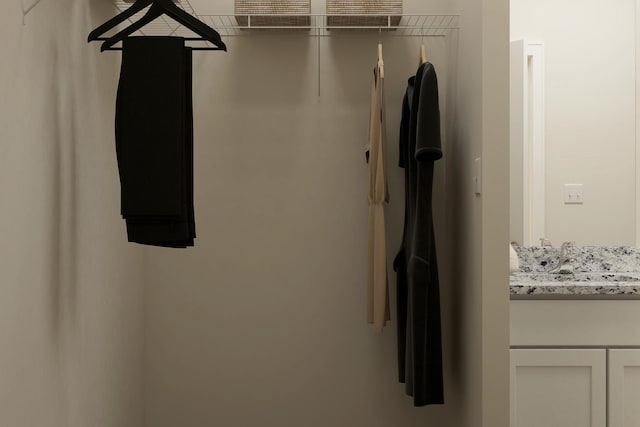 spacious closet with a sink