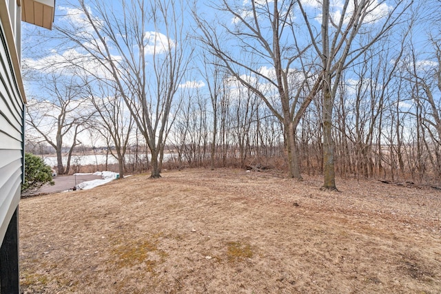 view of yard featuring a water view