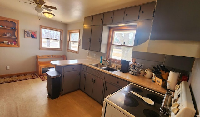 kitchen featuring a peninsula, electric range, gray cabinets, ceiling fan, and a sink