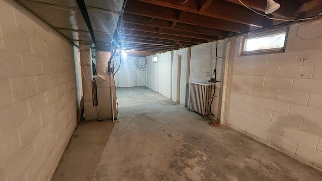 1013 8th Ave SW, Pipestone, MN 56164 - view of basement