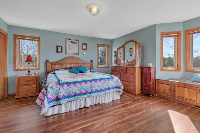 bedroom featuring multiple windows and wood finished floors