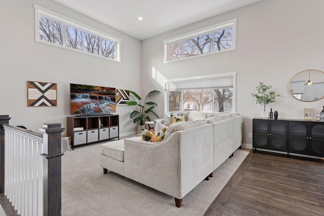 living room with baseboards, plenty of natural light, a high ceiling, and wood finished floors