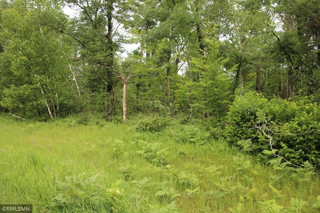 79XX White Overlook Dr, Breezy Point, MN 56472