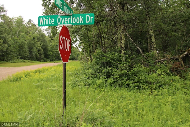 79XZ White Overlook Dr, Breezy Point, MN 56472