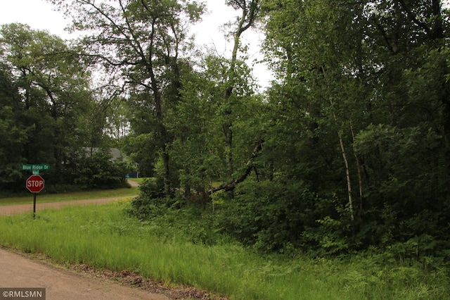79XZ White Overlook Dr, Breezy Point, MN 56472