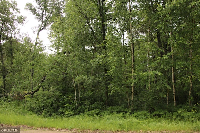 79XZ White Overlook Dr, Breezy Point, MN 56472