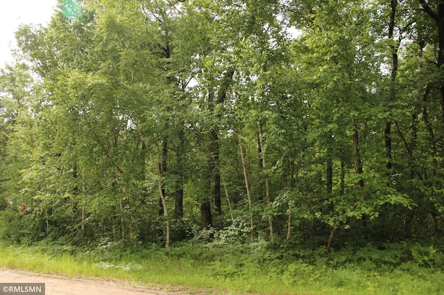 79XZ White Overlook Dr, Breezy Point, MN 56472