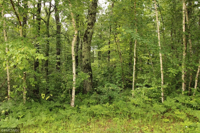 79XZ White Overlook Dr, Breezy Point, MN 56472