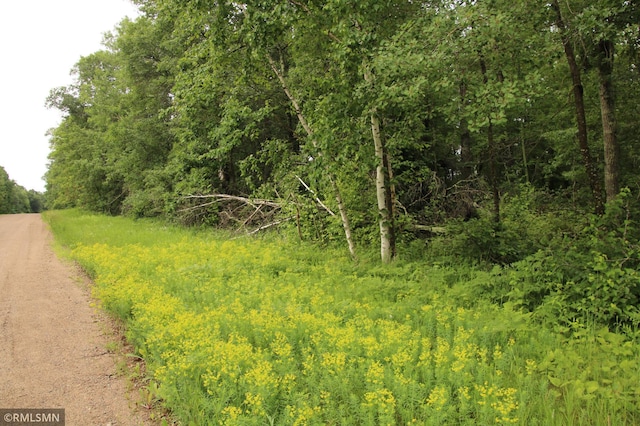 79XZ White Overlook Dr, Breezy Point, MN 56472