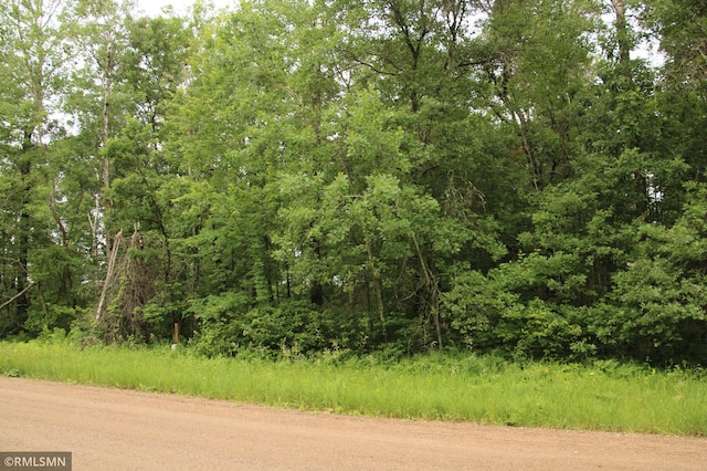 79XZ White Overlook Dr, Breezy Point, MN 56472