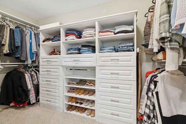 view of walk in closet