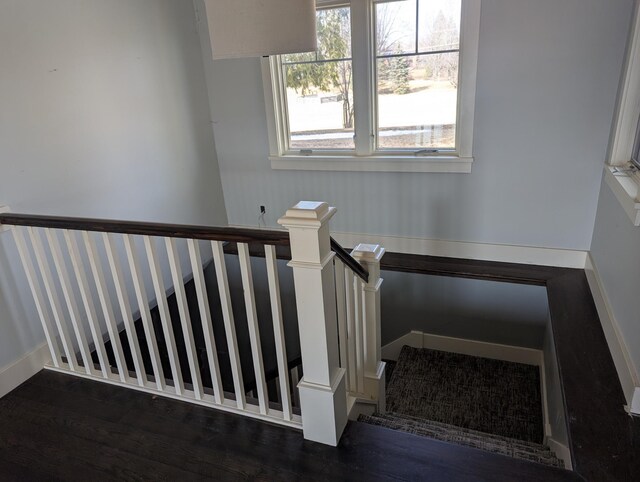 staircase featuring wood finished floors