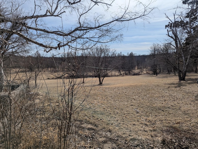 view of yard featuring a wooded view