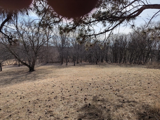 view of landscape