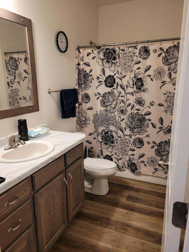 bathroom featuring vanity, toilet, and wood finished floors