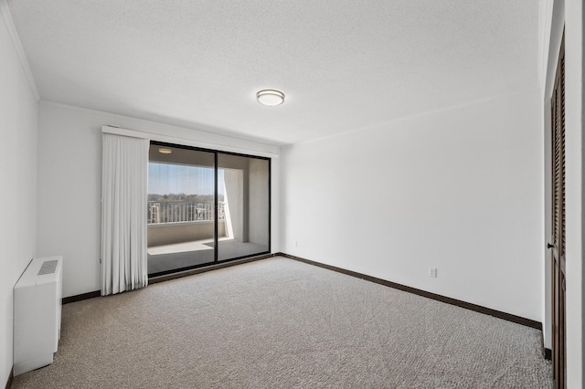 carpeted spare room featuring baseboards and a textured ceiling