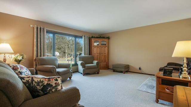 living area featuring baseboards and carpet