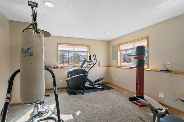 exercise room with baseboards, a textured ceiling, and carpet floors