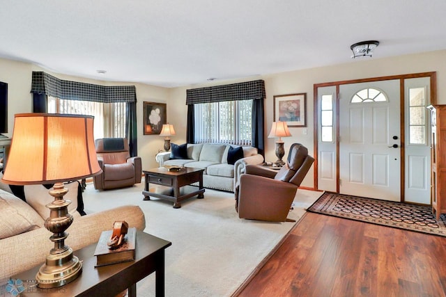 living area featuring wood finished floors