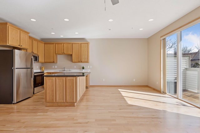 kitchen featuring light wood finished floors, recessed lighting, appliances with stainless steel finishes, and a sink