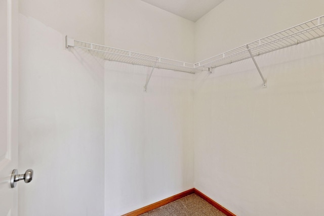 spacious closet featuring dark colored carpet