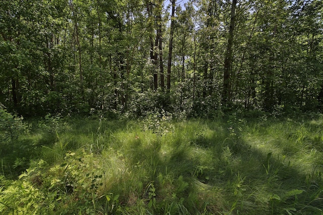 TRACTC Olander Rd, Crosby, MN 56441