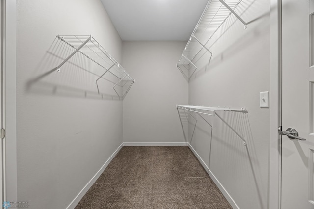 walk in closet with dark carpet