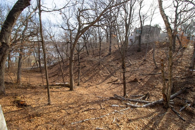 view of local wilderness