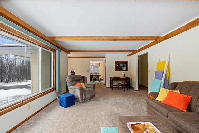 living area with baseboards, beam ceiling, carpet, and a textured ceiling