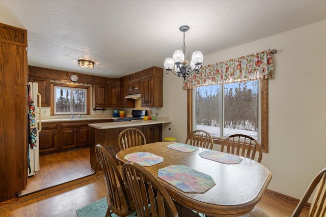 dining room featuring light wood-type flooring, baseboards, a textured ceiling, and an inviting chandelier