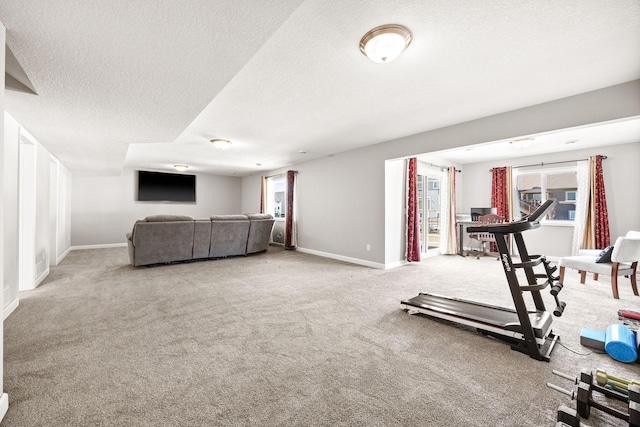 exercise area with a wealth of natural light, a textured ceiling, baseboards, and carpet floors