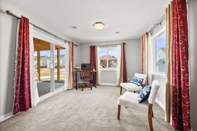 living area with baseboards, carpet floors, and a textured ceiling