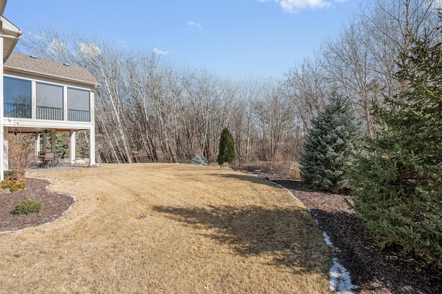 view of yard featuring a patio