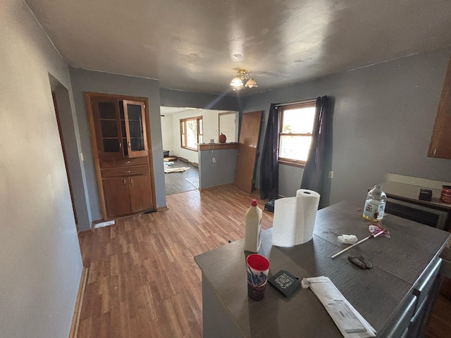 dining area with wood finished floors