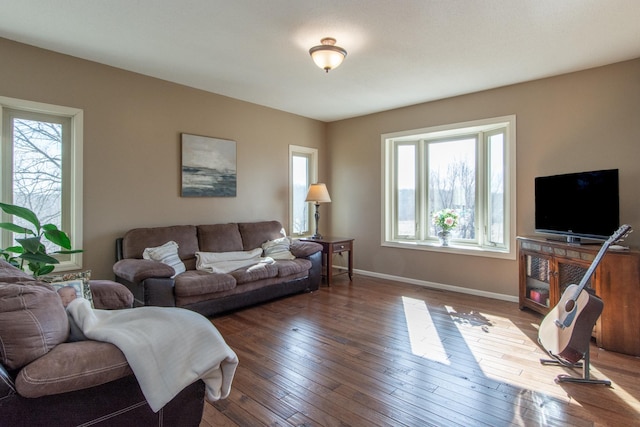 living room featuring hardwood / wood-style flooring, baseboards, and a wealth of natural light