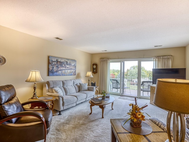 8621 Basswood Rd Unit 33, Eden Prairie, MN 55344 - living room featuring a textured ceiling, visible vents, and carpet