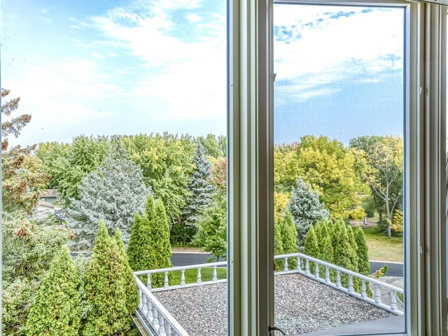 8621 Basswood Rd Unit 33, Eden Prairie, MN 55344 - entryway featuring a wealth of natural light