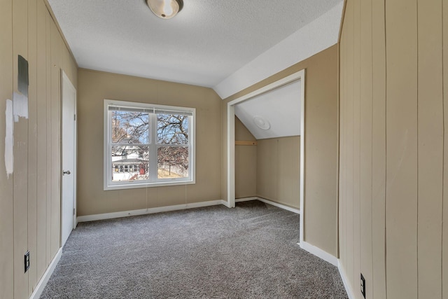additional living space featuring lofted ceiling, carpet flooring, a textured ceiling, and baseboards