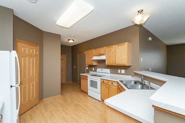 kitchen with under cabinet range hood, a sink, white appliances, a peninsula, and light countertops