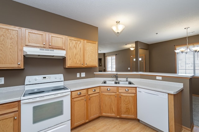 kitchen with under cabinet range hood, a sink, white appliances, a peninsula, and light countertops