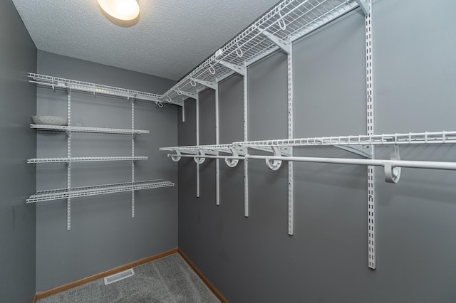 spacious closet with visible vents and carpet