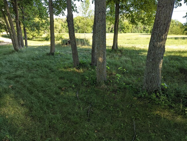 LOT18 Old Lake Rd SE, Osakis, MN 56360