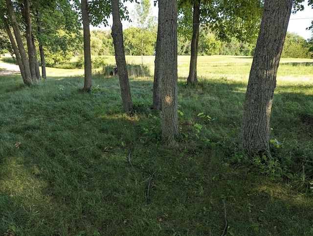 LOT18 Old Lake Rd SE, Osakis, MN 56360 - photo 10